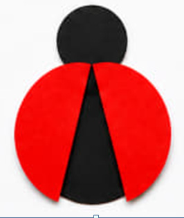 6-bosqich tasviri